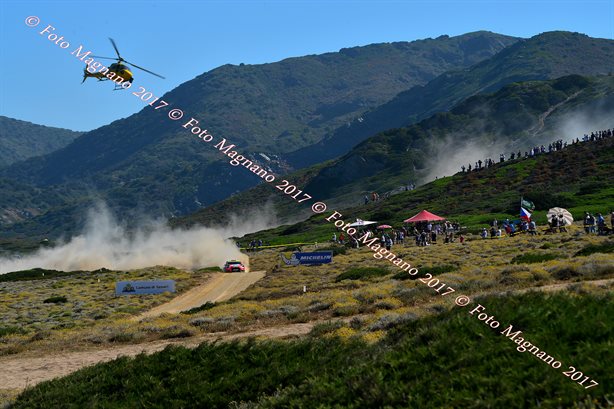 DSC_6817.JPG